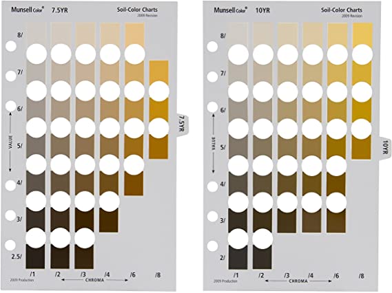 Munsell color book page layout. Pages are each an different hues with color chips of different values aligned vertically on the page and chroma arranged horizontally on the page