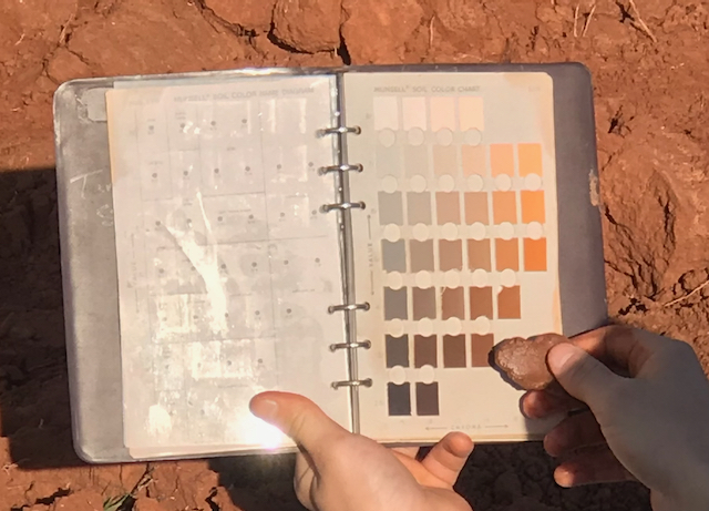 image of a person holding a Munsell color book and a soil sample to match color